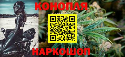 шишки Нальчик