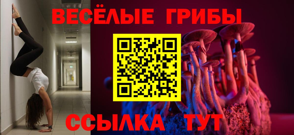 Галлюциногенные грибы прущие грибы  Вход с VPN  Узловая 
